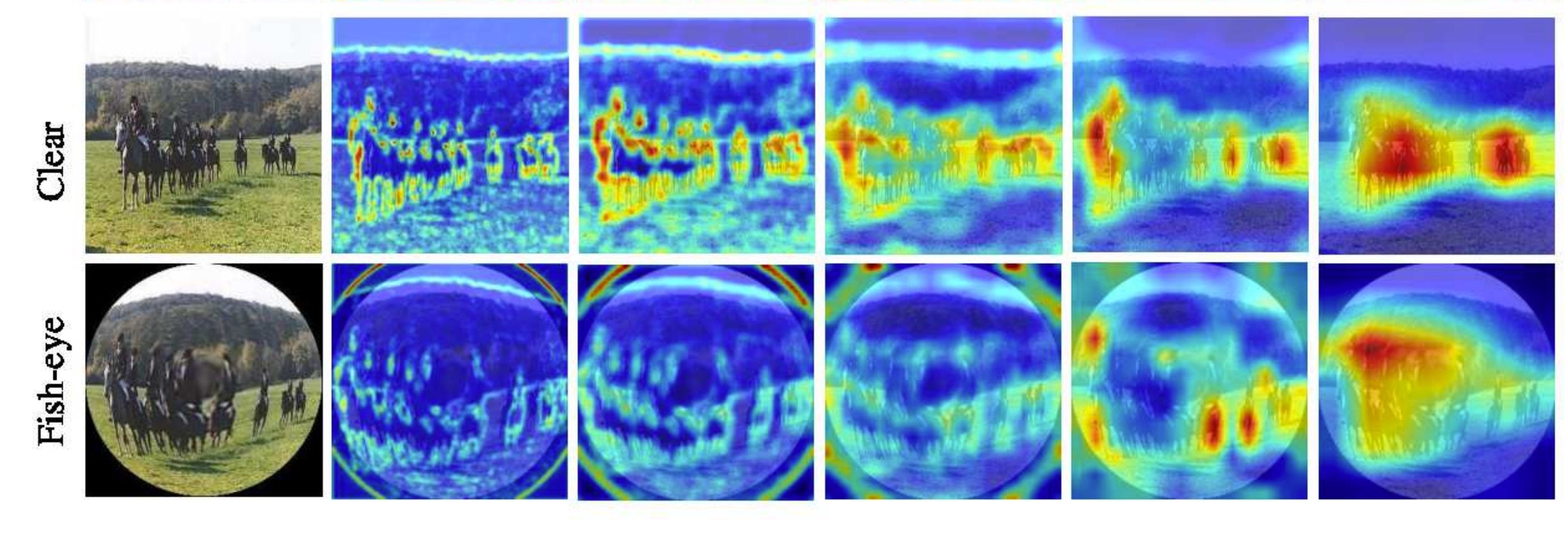 Effects of fisheye lens distortion on CNN-based image classification, showing object deformation across the field