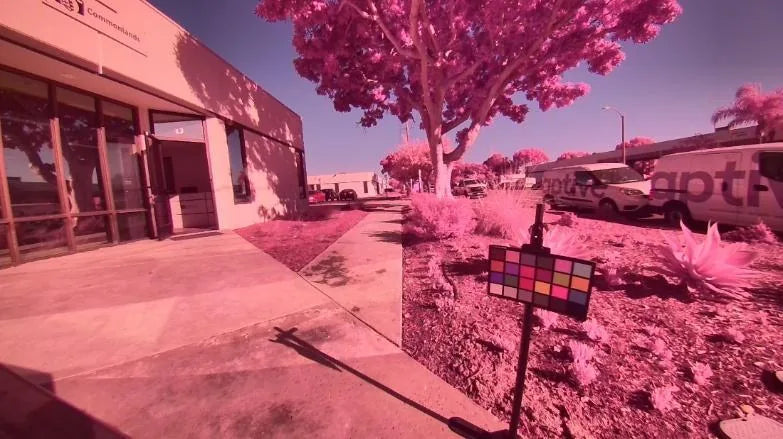 Outdoor scene shot with no IR-cut filter: foliage, pavement, and sky all shifted heavily toward magenta