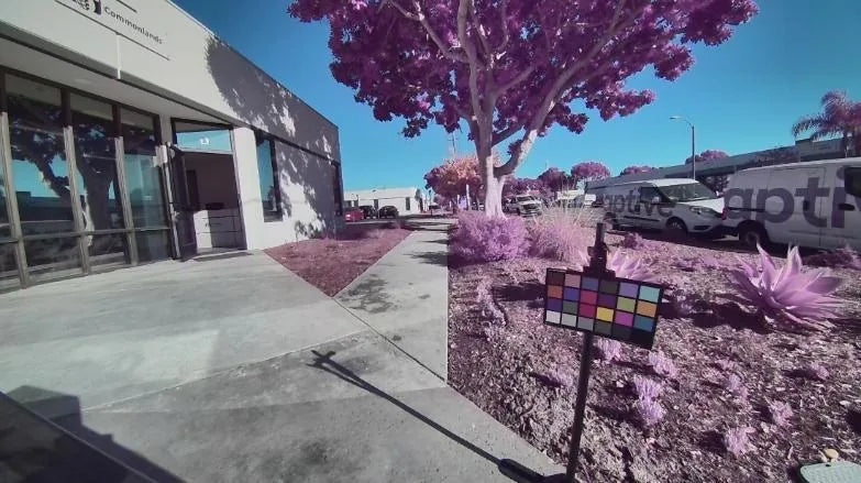 Daylight through a Commonlands CDB850 dual-bandpass filter: sky and concrete correct, tree foliage shifts purple